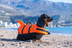 Shark Dog Chaleco salvavidas para perros con aleta de tiburón