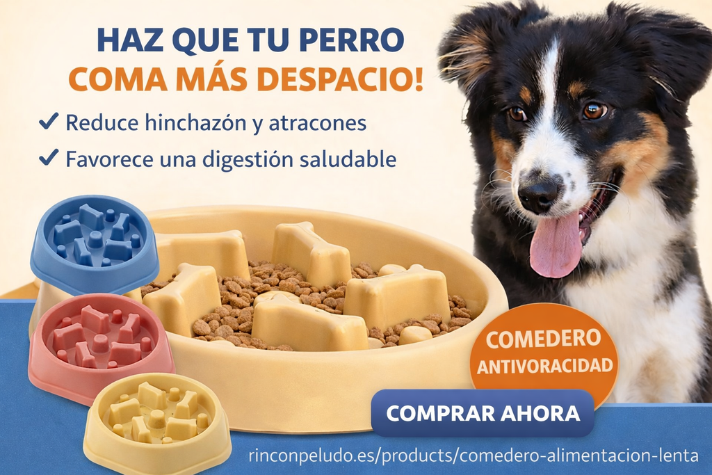 Comedero lento para perros - anti voracidad