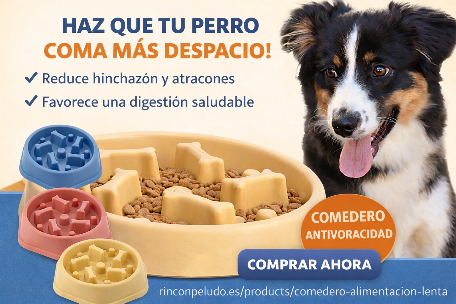 Comedero lento para perros - anti voracidad