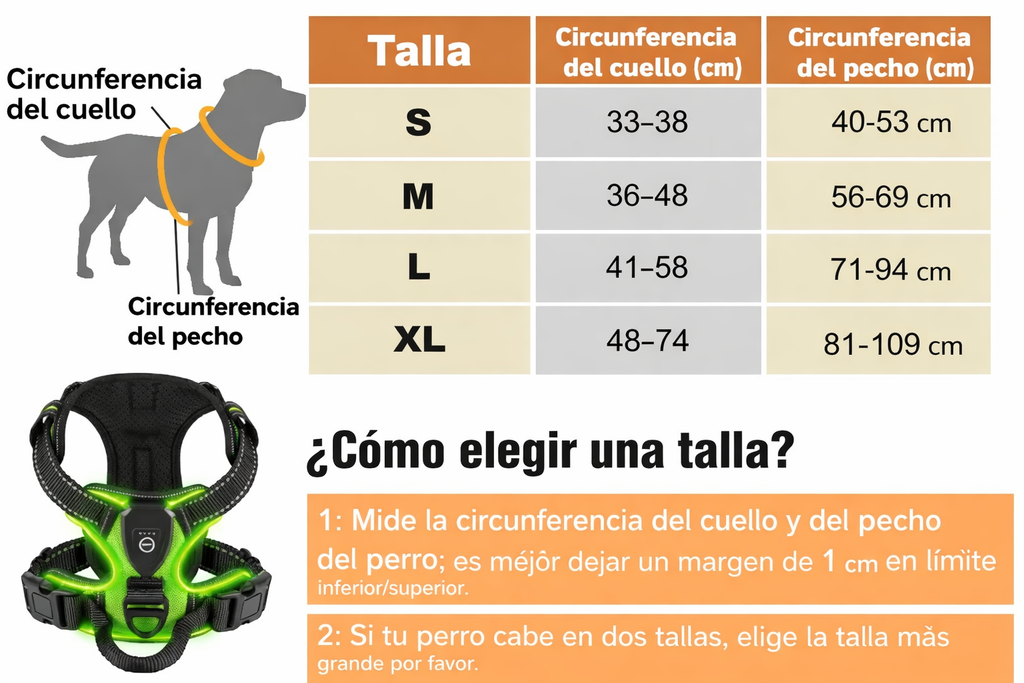 Arnés Luminoso Antitirones Pro – SafeWalk LED