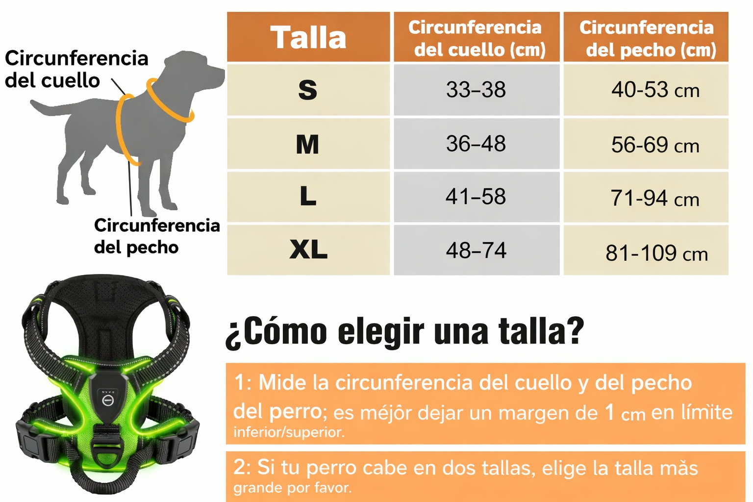 Arnés Luminoso Antitirones Pro – SafeWalk LED