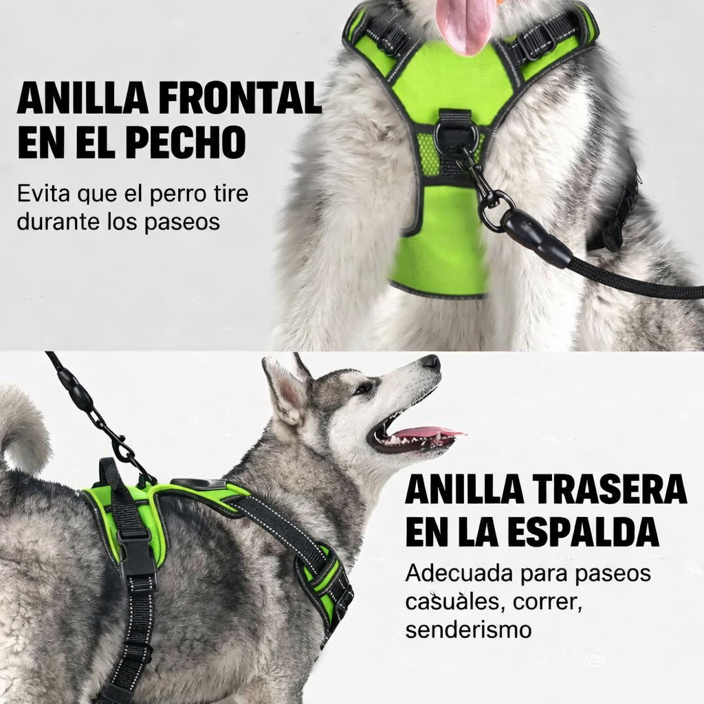 Arnés Luminoso Antitirones Pro – SafeWalk LED