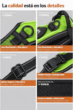 Arnés Luminoso Antitirones Pro – SafeWalk LED