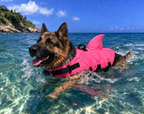 Shark Dog Chaleco salvavidas para perros con aleta de tiburón