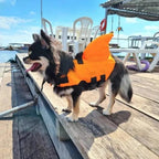 Shark Dog Chaleco salvavidas para perros con aleta de tiburón