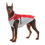 Chaqueta impermeable para mascotas con arnés