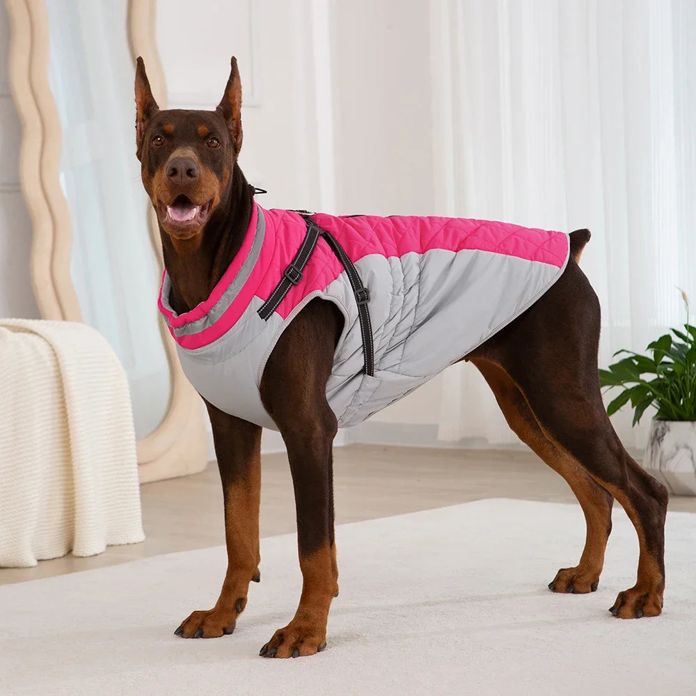 Chaqueta impermeable para mascotas con arnés