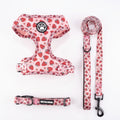 Pack Premium Arnés + Collar + Correa Antitirones para Perros