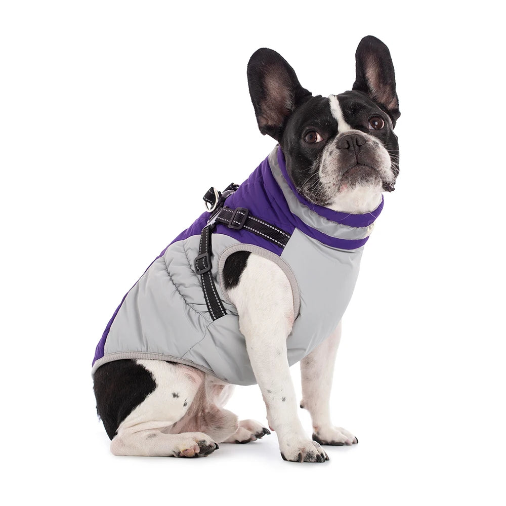 Chaqueta impermeable para mascotas con arnés