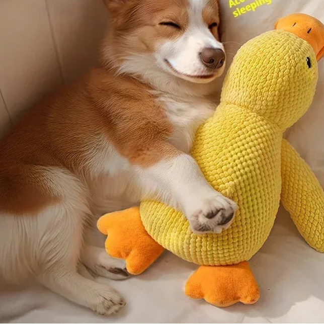 Juguete de peluche para mascotas, pato calmante