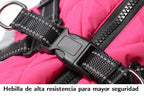 Chaqueta impermeable para mascotas con arnés