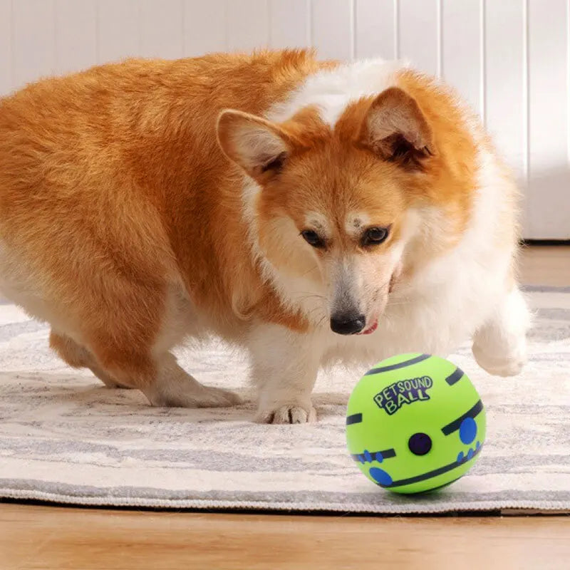 PetSound Ball - Mantén a tu mascota entretenida durante horas (sin esfuerzo)