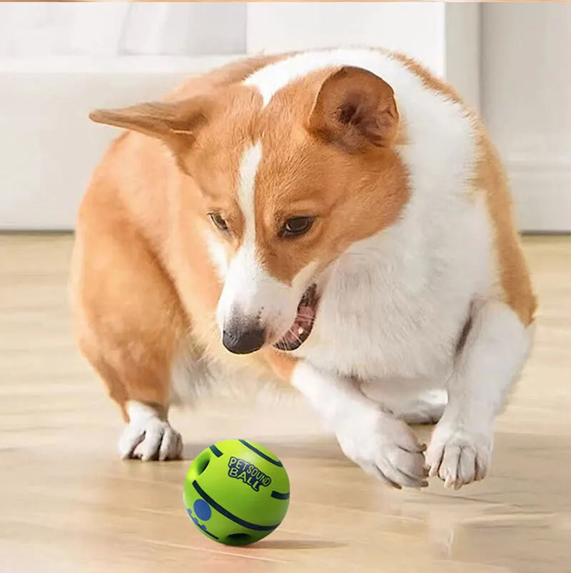 PetSound Ball - Mantén a tu mascota entretenida durante horas (sin esfuerzo)