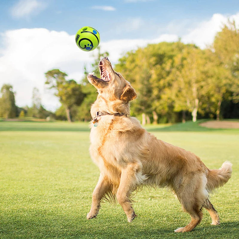 PetSound Ball - Mantén a tu mascota entretenida durante horas (sin esfuerzo)