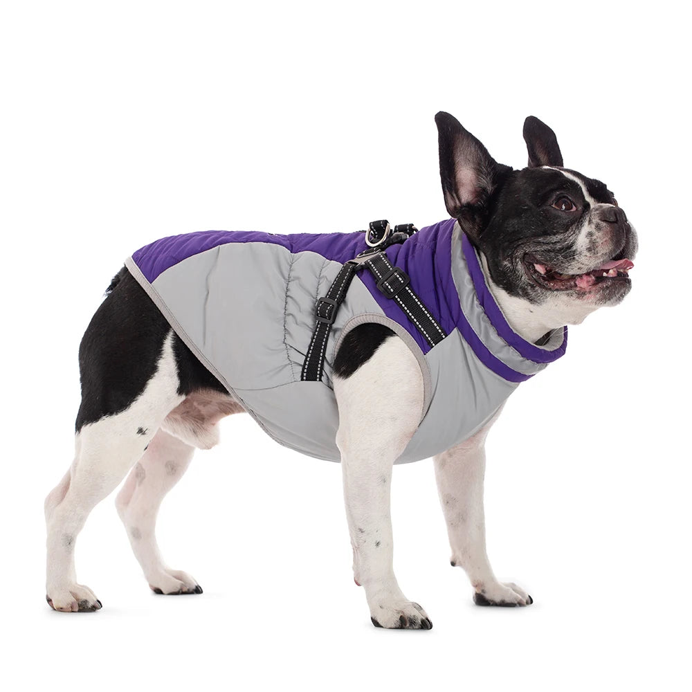 Chaqueta impermeable para mascotas con arnés