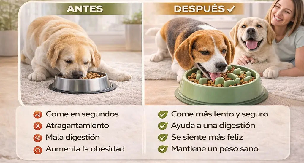 Comedero lento para perros - anti voracidad