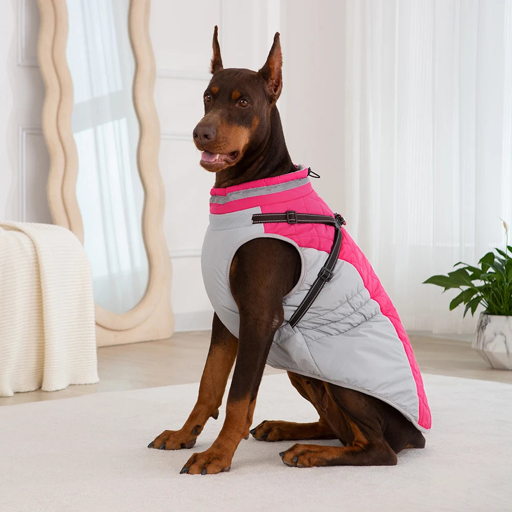 Chaqueta impermeable para mascotas con arnés