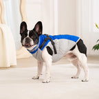 Chaqueta impermeable para mascotas con arnés