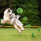 PetSound Ball - Mantén a tu mascota entretenida durante horas (sin esfuerzo)