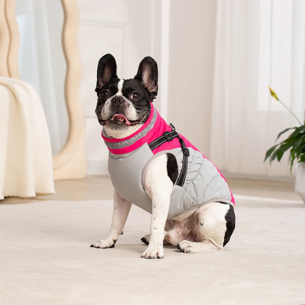 Chaqueta impermeable para mascotas con arnés