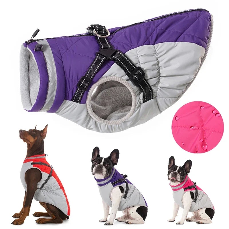 Chaqueta impermeable para mascotas con arnés