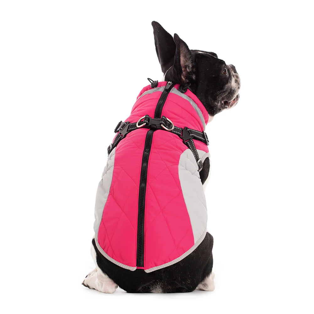 Chaqueta impermeable para mascotas con arnés
