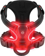 Arnés Luminoso Antitirones Pro – SafeWalk LED