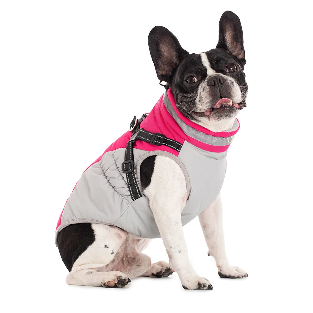 Chaqueta impermeable para mascotas con arnés