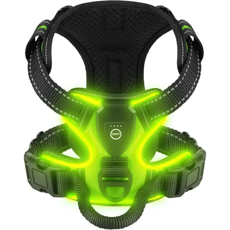 Arnés Luminoso Antitirones Pro – SafeWalk LED