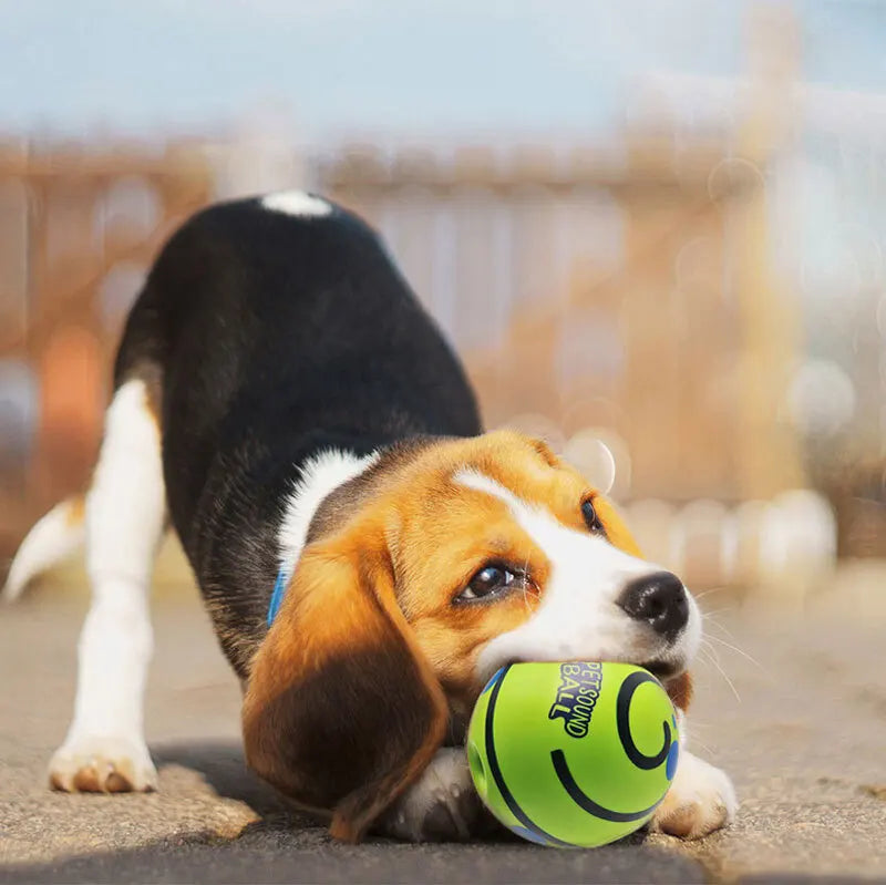 PetSound Ball - Mantén a tu mascota entretenida durante horas (sin esfuerzo)