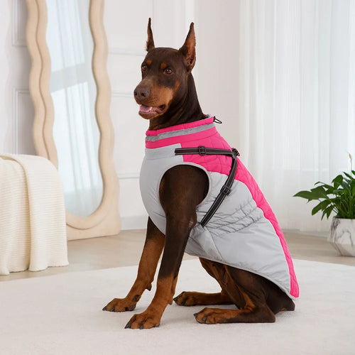 Chaqueta impermeable para mascotas con arnés