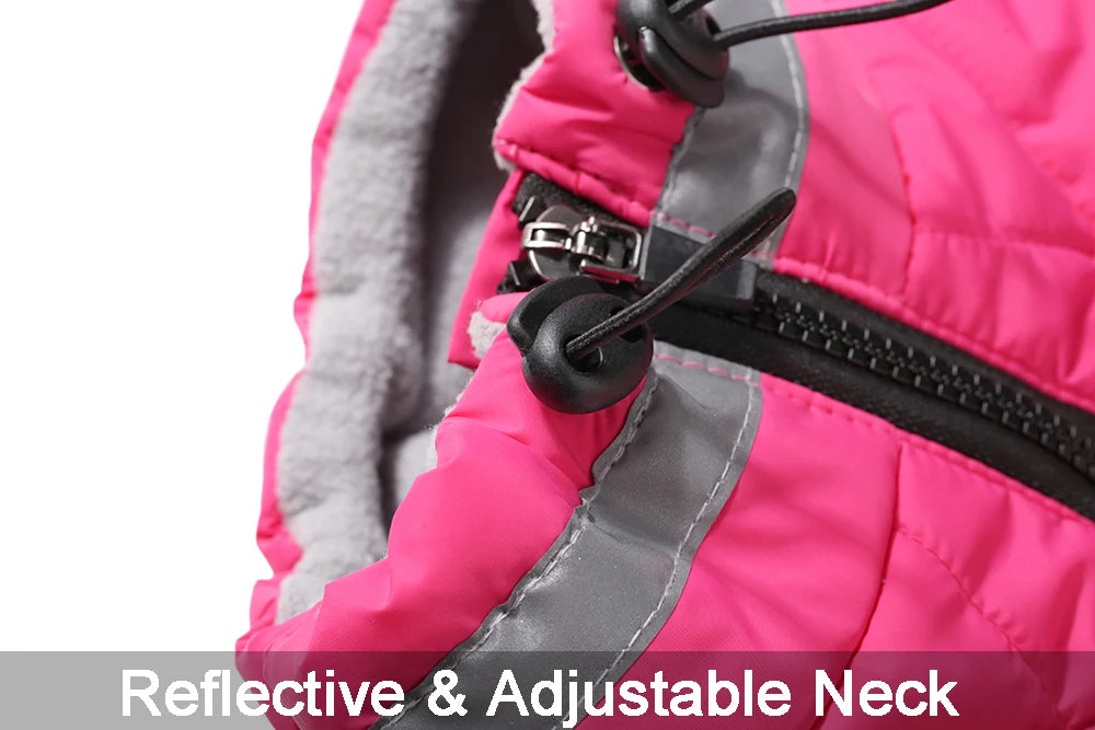 Chaqueta impermeable para mascotas con arnés