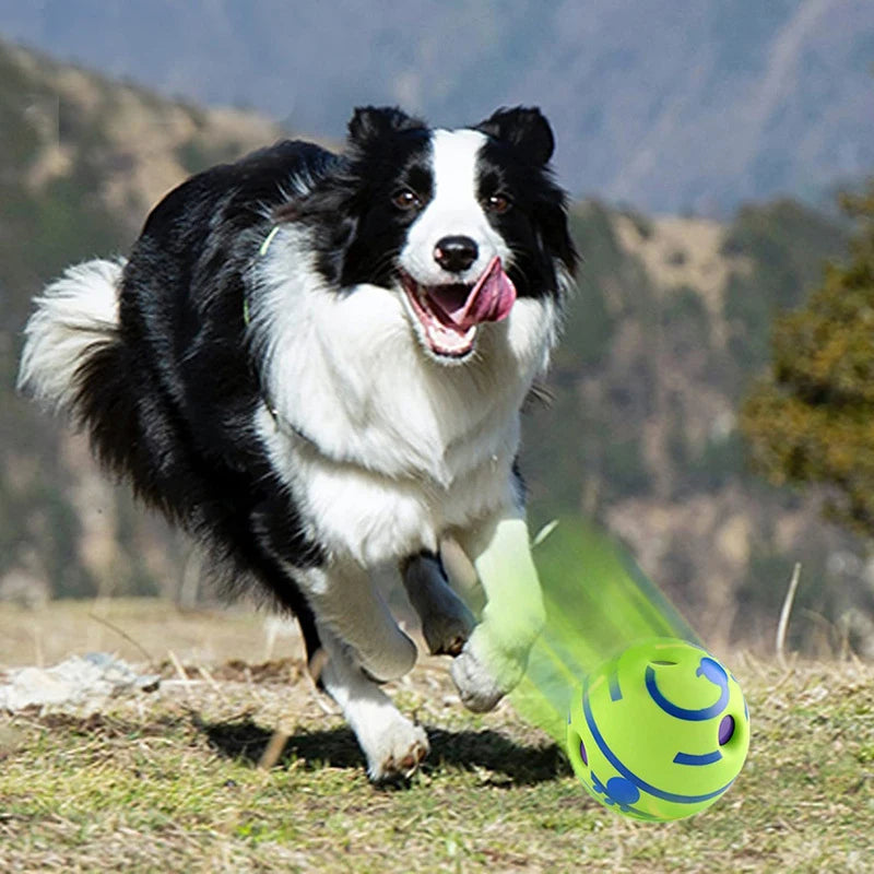 PetSound Ball - Mantén a tu mascota entretenida durante horas (sin esfuerzo)